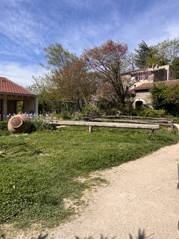 Visite Guidée Vendredi 20 Juin 14h30 – Image 2